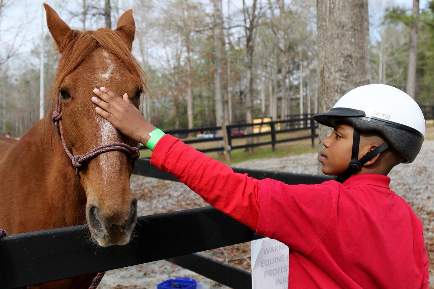 A young rider in a helmet greeting a horse
