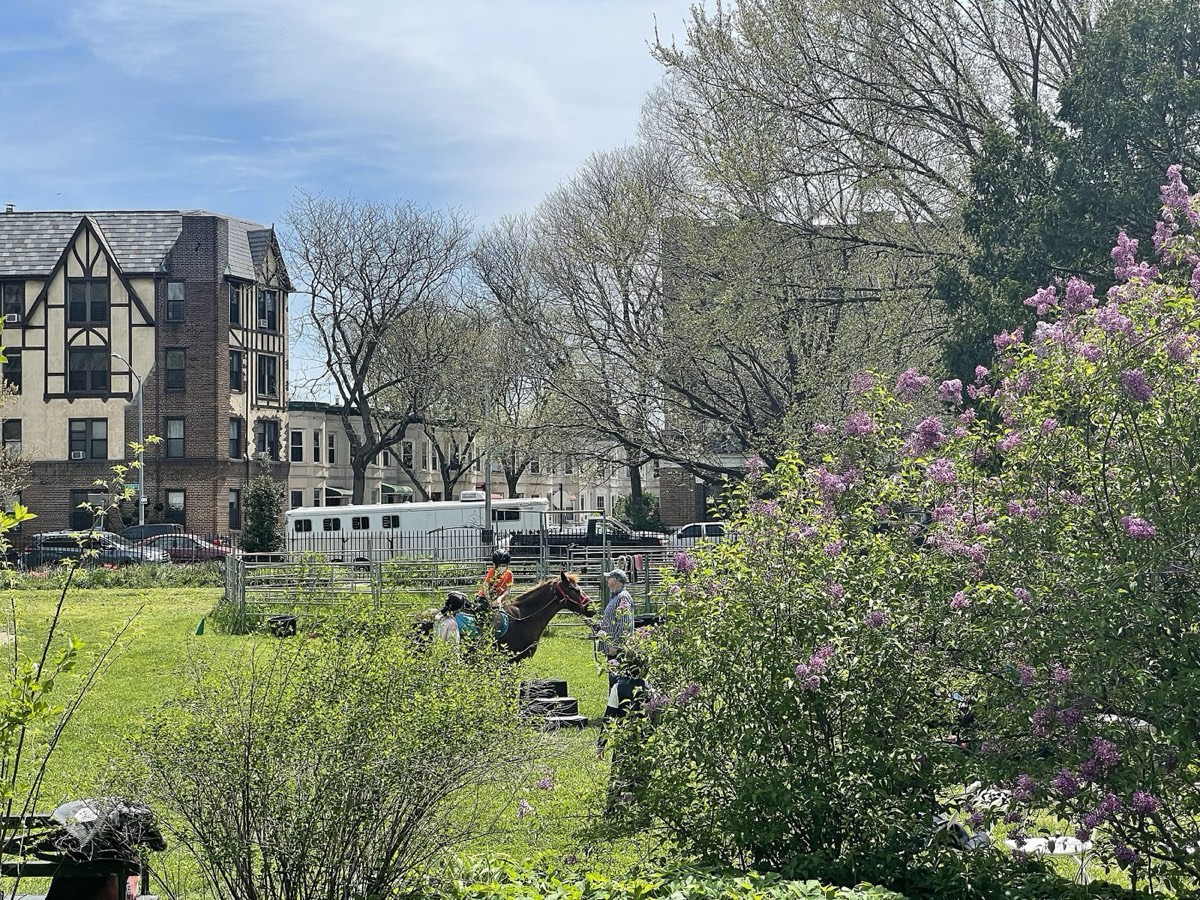A horse and handlers during a therapeutic riding session on Prospect Park's Bowling Green